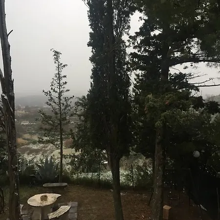 La Rosa Di Antonio