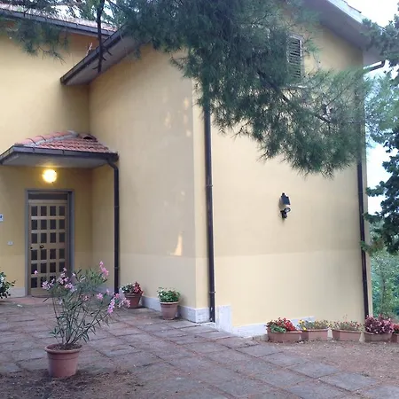 La Rosa Di Antonio *