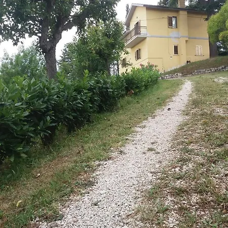 La Rosa Di Antonio