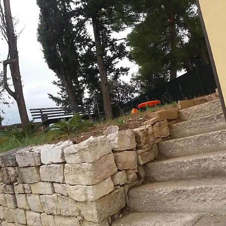 La Rosa Di Antonio *